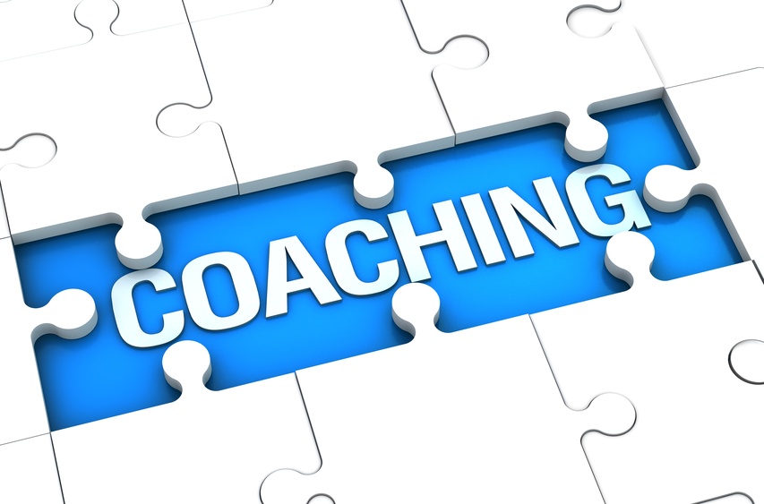 Image result for leadership coaching